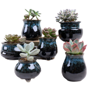 Tiny Pots For Plants | Set Of 6